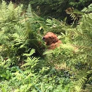 Meet your Posher, Catherine